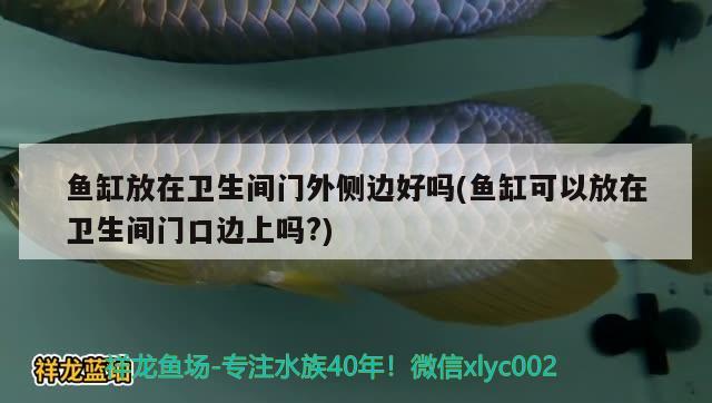 魚缸放在衛(wèi)生間門外側(cè)邊好嗎(魚缸可以放在衛(wèi)生間門口邊上嗎?) 水族品牌