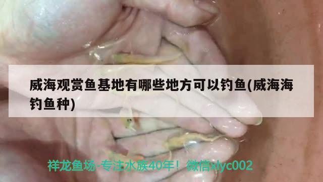 威海觀賞魚有哪些地方可以釣魚(威海海釣魚種) 垂釣樂園