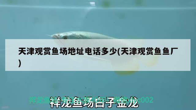 天津觀賞魚場地址電話多少(天津觀賞魚魚廠) 魚缸水泵