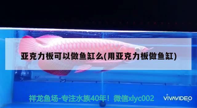 亞克力板可以做魚缸么(用亞克力板做魚缸)