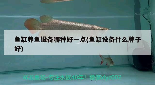 魚(yú)缸養(yǎng)魚(yú)設(shè)備哪種好一點(diǎn)(魚(yú)缸設(shè)備什么牌子好) 肥料