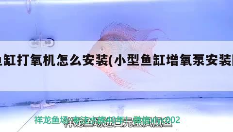 魚缸打氧機(jī)怎么安裝(小型魚缸增氧泵安裝圖)