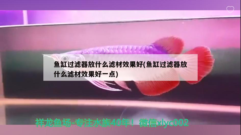 魚缸過濾器放什么濾材效果好(魚缸過濾器放什么濾材效果好一點(diǎn)) 魚缸清潔用具