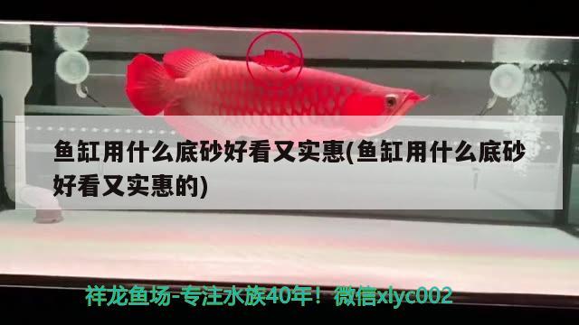 魚缸用什么底砂好看又實惠(魚缸用什么底砂好看又實惠的) iwish愛唯希品牌魚缸