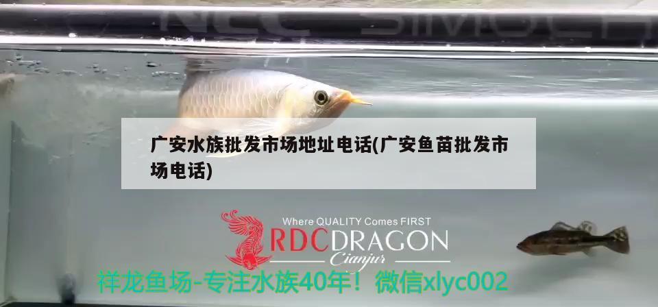 廣安水族批發(fā)市場地址電話(廣安魚苗批發(fā)市場電話) 觀賞魚水族批發(fā)市場