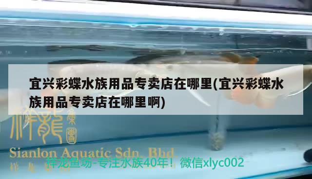 宜興彩蝶水族用品專賣店在哪里(宜興彩蝶水族用品專賣店在哪里啊) 水族用品