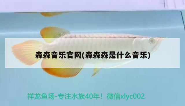 森森音樂官網(wǎng)(森森森是什么音樂) 龍魚芯片掃碼器