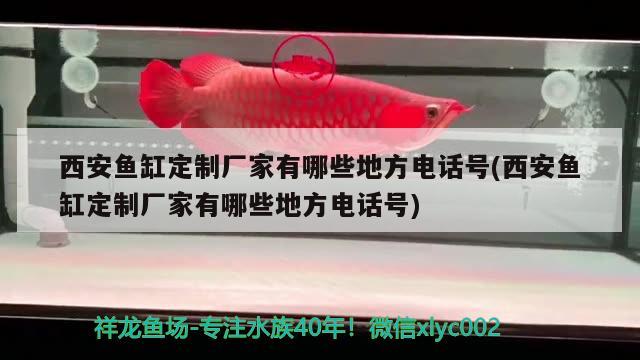 西安魚缸定制廠家有哪些地方電話號(西安魚缸定制廠家有哪些地方電話號)