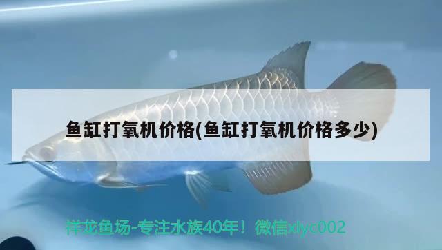 魚缸打氧機(jī)價(jià)格(魚缸打氧機(jī)價(jià)格多少) 哥倫比亞巨暴魚苗