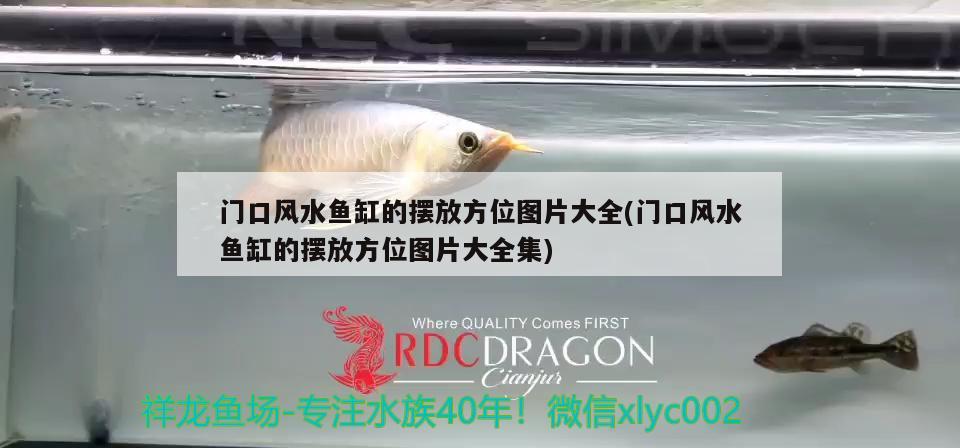 門口風水魚缸的擺放方位圖片大全(門口風水魚缸的擺放方位圖片大全集)