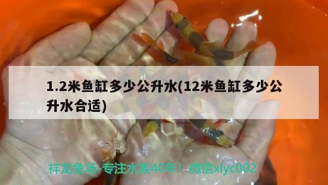 1.2米魚缸多少公升水(12米魚缸多少公升水合適)