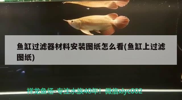 魚(yú)缸過(guò)濾器材料安裝圖紙?jiān)趺纯?魚(yú)缸上過(guò)濾圖紙) 成吉思汗鯊（球鯊）魚(yú)