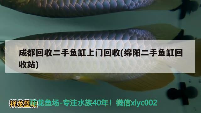 成都回收二手魚缸上門回收(綿陽二手魚缸回收站) 元寶鳳凰魚