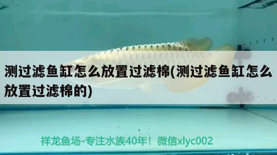 測(cè)過(guò)濾魚缸怎么放置過(guò)濾棉(測(cè)過(guò)濾魚缸怎么放置過(guò)濾棉的) 魚缸等水族設(shè)備