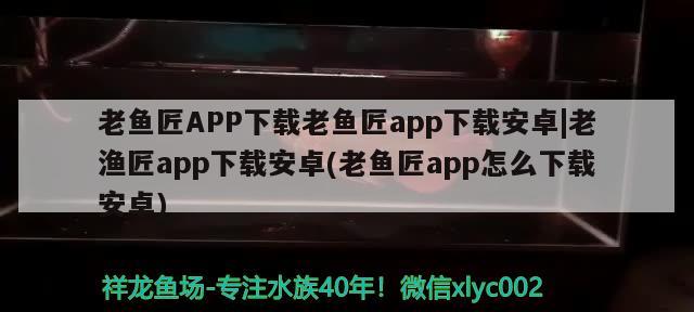 老魚匠APP下載老魚匠app下載安卓|老漁匠app下載安卓(老魚匠app怎么下載安卓) 老魚匠