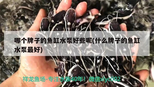 哪個牌子的魚缸水泵好些呢(什么牌子的魚缸水泵最好) 魚缸水泵