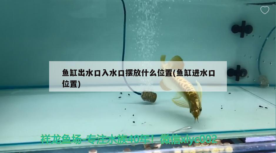 魚缸出水口入水口擺放什么位置(魚缸進水口位置)