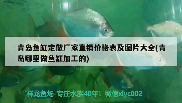 青島魚缸定做廠家直銷價(jià)格表及圖片大全(青島哪里做魚缸加工的) 豹紋夫魚苗