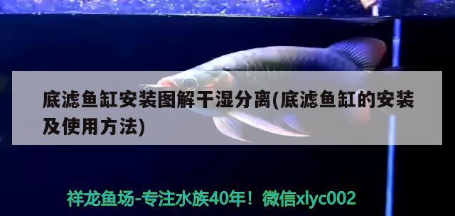 底濾魚缸安裝圖解干濕分離(底濾魚缸的安裝及使用方法) 錦鯉魚百科