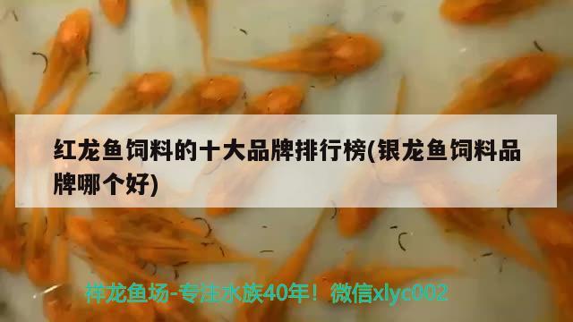 紅龍魚飼料的十大品牌排行榜(銀龍魚飼料品牌哪個好)