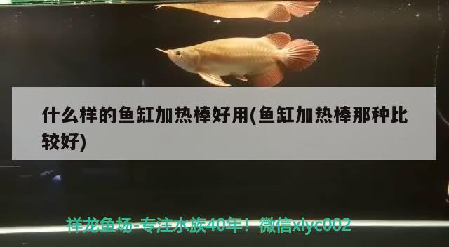 什么樣的魚缸加熱棒好用(魚缸加熱棒那種比較好)