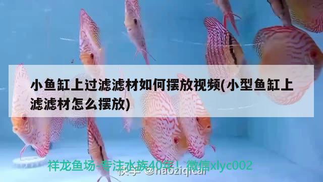 小魚缸上過(guò)濾濾材如何擺放視頻(小型魚缸上濾濾材怎么擺放) 祥龍傳奇品牌魚缸