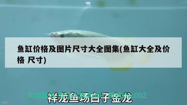 魚缸價格及圖片尺寸大全圖集(魚缸大全及價格尺寸)