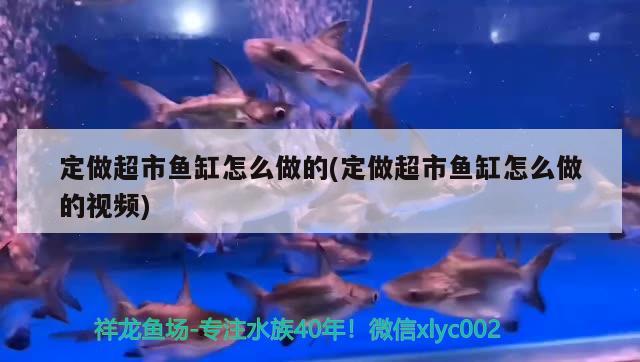 定做超市魚缸怎么做的(定做超市魚缸怎么做的視頻)