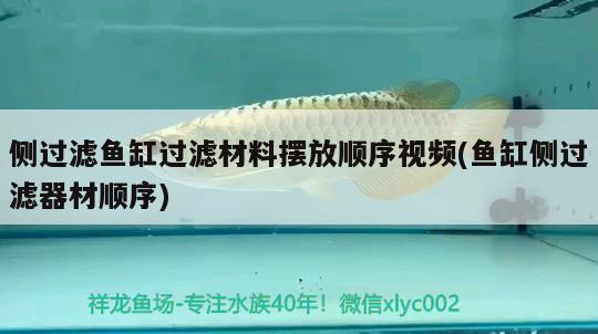 側(cè)過(guò)濾魚(yú)缸過(guò)濾材料擺放順序視頻(魚(yú)缸側(cè)過(guò)濾器材順序) 虎魚(yú)魚(yú)苗