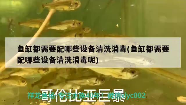 魚缸都需要配哪些設(shè)備清洗消毒(魚缸都需要配哪些設(shè)備清洗消毒呢)