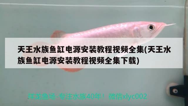 天王水族魚(yú)缸電源安裝教程視頻全集(天王水族魚(yú)缸電源安裝教程視頻全集下載)