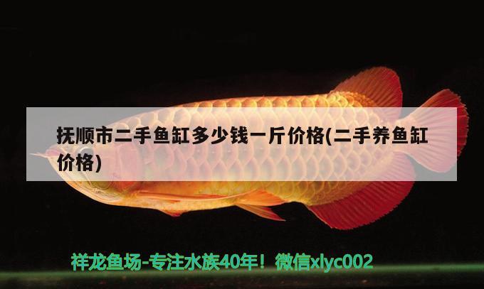 撫順市二手魚缸多少錢一斤價(jià)格(二手養(yǎng)魚缸價(jià)格) 祥龍超血紅龍魚