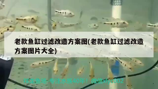 老款魚缸過濾改造方案圖(老款魚缸過濾改造方案圖片大全) 名貴錦鯉魚