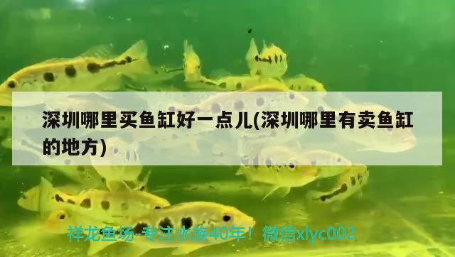 深圳哪里買魚缸好一點兒(深圳哪里有賣魚缸的地方)