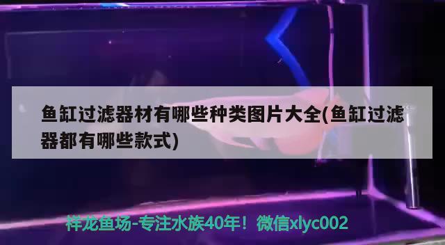 魚(yú)缸過(guò)濾器材有哪些種類圖片大全(魚(yú)缸過(guò)濾器都有哪些款式) 潛水艇魚(yú)
