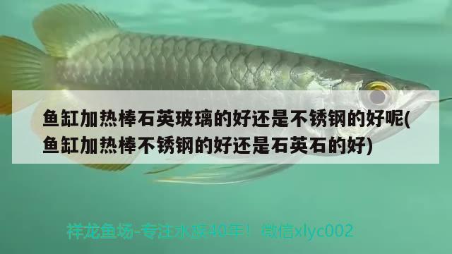 魚缸加熱棒石英玻璃的好還是不銹鋼的好呢(魚缸加熱棒不銹鋼的好還是石英石的好) 朱巴利魚