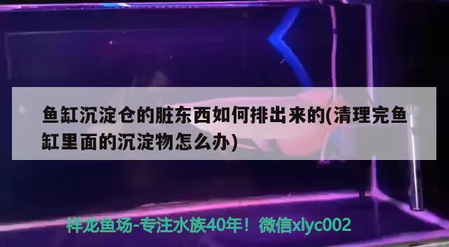 魚缸沉淀倉的臟東西如何排出來的(清理完魚缸里面的沉淀物怎么辦) 青龍魚