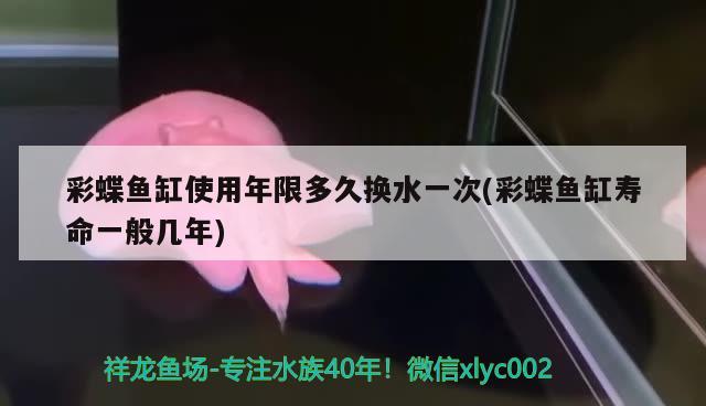 彩蝶魚(yú)缸使用年限多久換水一次(彩蝶魚(yú)缸壽命一般幾年) 狗頭魚(yú)