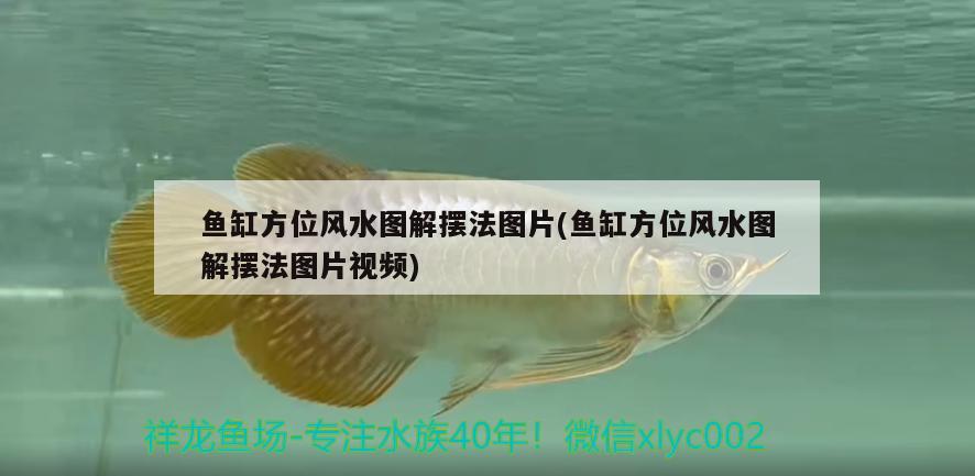 魚缸方位風(fēng)水圖解擺法圖片(魚缸方位風(fēng)水圖解擺法圖片視頻)