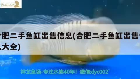 合肥二手魚(yú)缸出售信息(合肥二手魚(yú)缸出售信息大全) 魚(yú)缸清潔用具