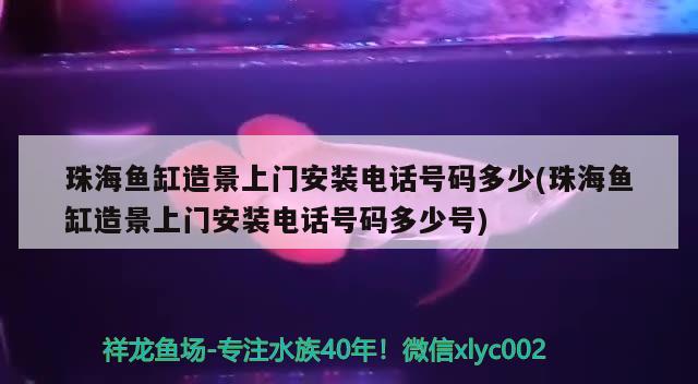 珠海魚缸造景上門安裝電話號碼多少(珠海魚缸造景上門安裝電話號碼多少號) 金龍魚百科