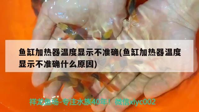 魚缸加熱器溫度顯示不準(zhǔn)確(魚缸加熱器溫度顯示不準(zhǔn)確什么原因) 金頭過背金龍魚