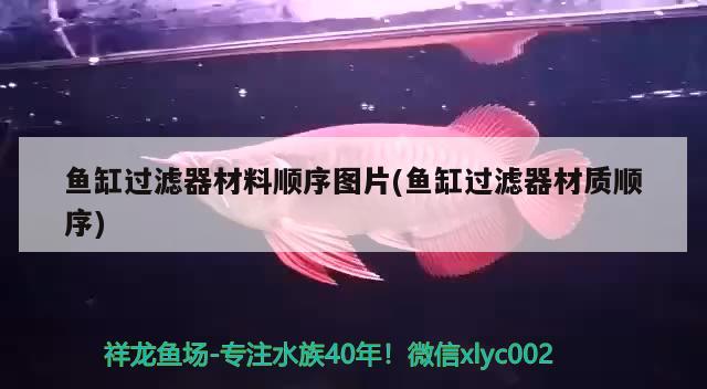 魚(yú)缸過(guò)濾器材料順序圖片(魚(yú)缸過(guò)濾器材質(zhì)順序) 鸚鵡魚(yú)