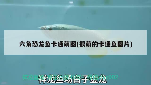 六角恐龍魚(yú)卡通萌圖(很萌的卡通魚(yú)圖片) 大嘴鯨魚(yú)