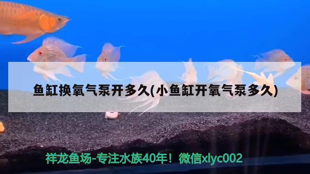 魚缸換氧氣泵開多久(小魚缸開氧氣泵多久) 沖氧泵