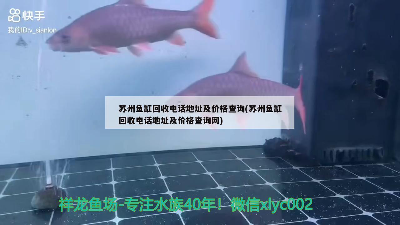 蘇州魚(yú)缸回收電話(huà)地址及價(jià)格查詢(xún)(蘇州魚(yú)缸回收電話(huà)地址及價(jià)格查詢(xún)網(wǎng))