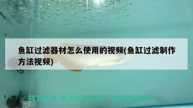 魚缸過濾器材怎么使用的視頻(魚缸過濾制作方法視頻) 魟魚百科