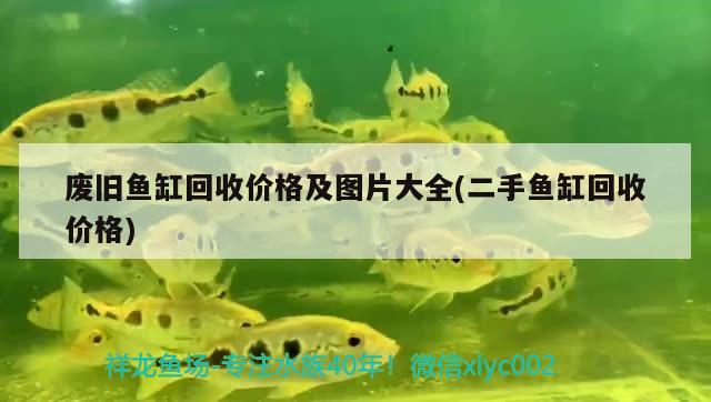 廢舊魚缸回收價格及圖片大全(二手魚缸回收價格) 銀龍魚百科