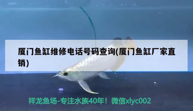 廈門魚缸維修電話號碼查詢(廈門魚缸廠家直銷) 祥龍魚藥系列