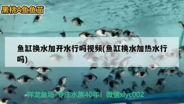 魚缸換水加開水行嗎視頻(魚缸換水加熱水行嗎) 彩鰈魚缸（彩蝶魚缸）